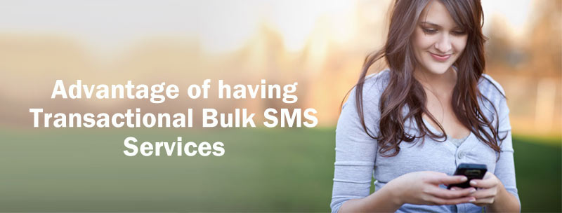 Transactional Bulk SMS Services using Bulksmsmantra
